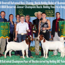 Bill and Sue Hobby and others with two champion goats
